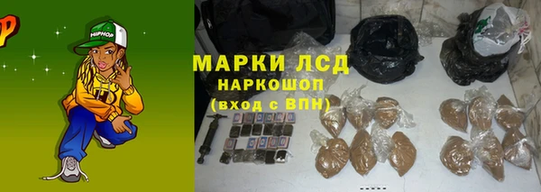 mdpv Новозыбков