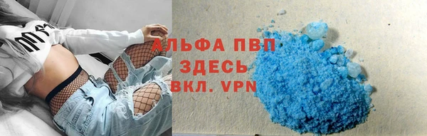 дмт Новокубанск