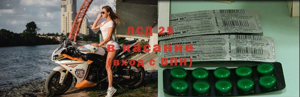 прущая мука Новодвинск